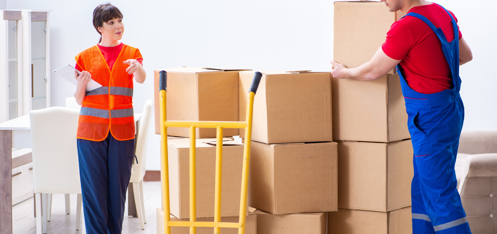 Packers and Movers